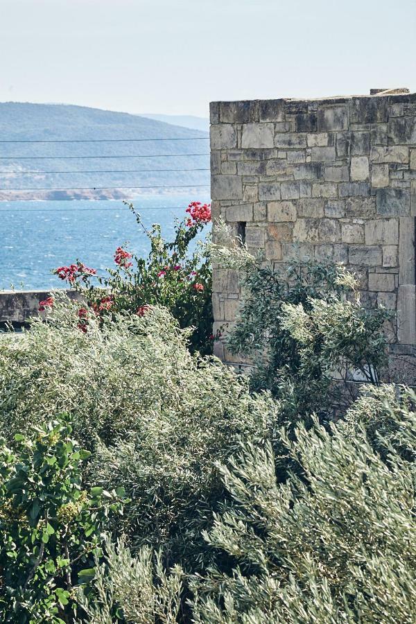 Nikolaou Art Residence Aegina Экстерьер фото