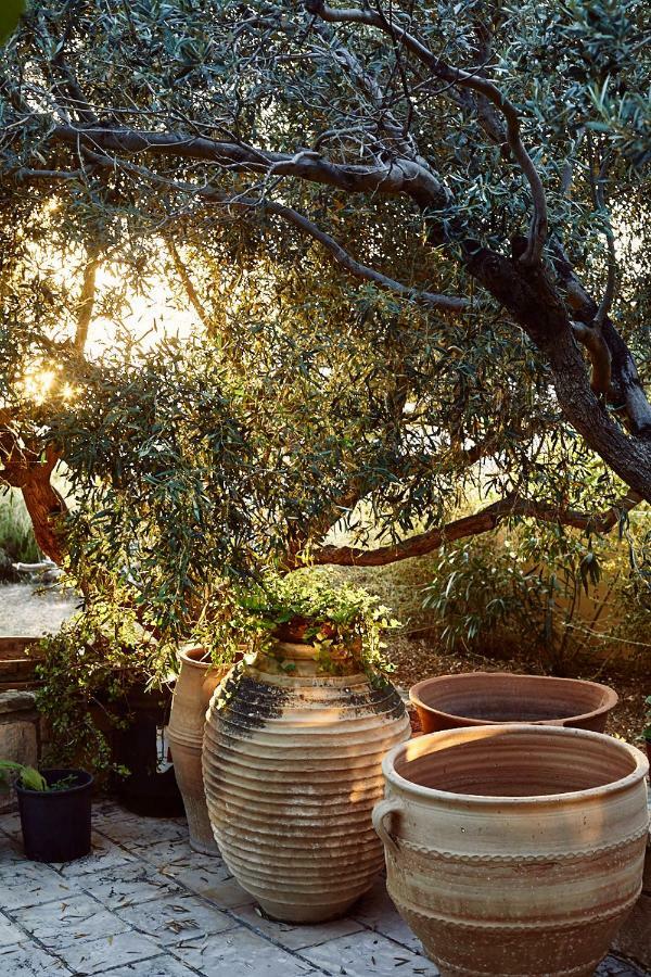 Nikolaou Art Residence Aegina Экстерьер фото